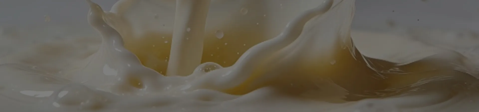 Empowering Food with Advanced Silicones