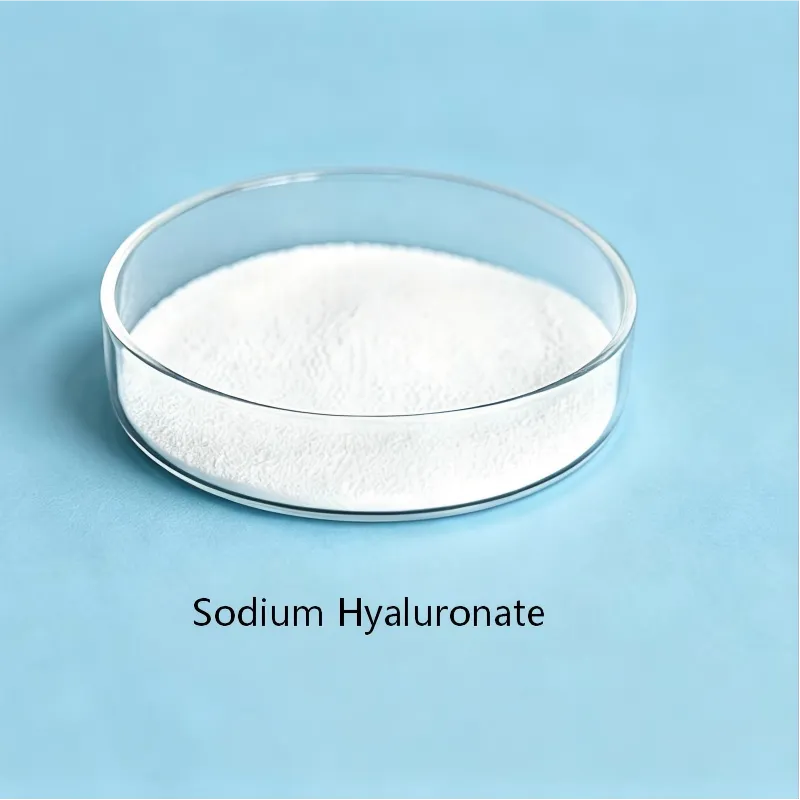 Sodium Hyaluronate (Hyaluronic Acid)